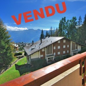 Verbier, duplex au calme, superbe vue sur le Grand Combin